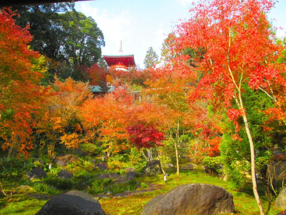 高野寺紅葉.JPG