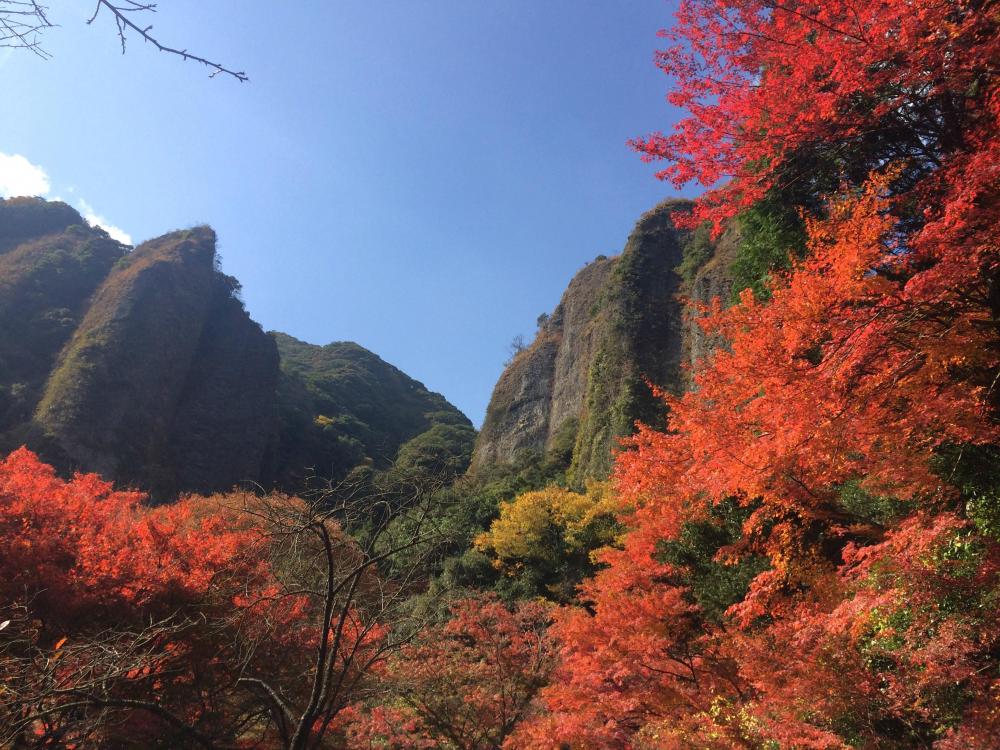 黒髪山紅葉10.JPG