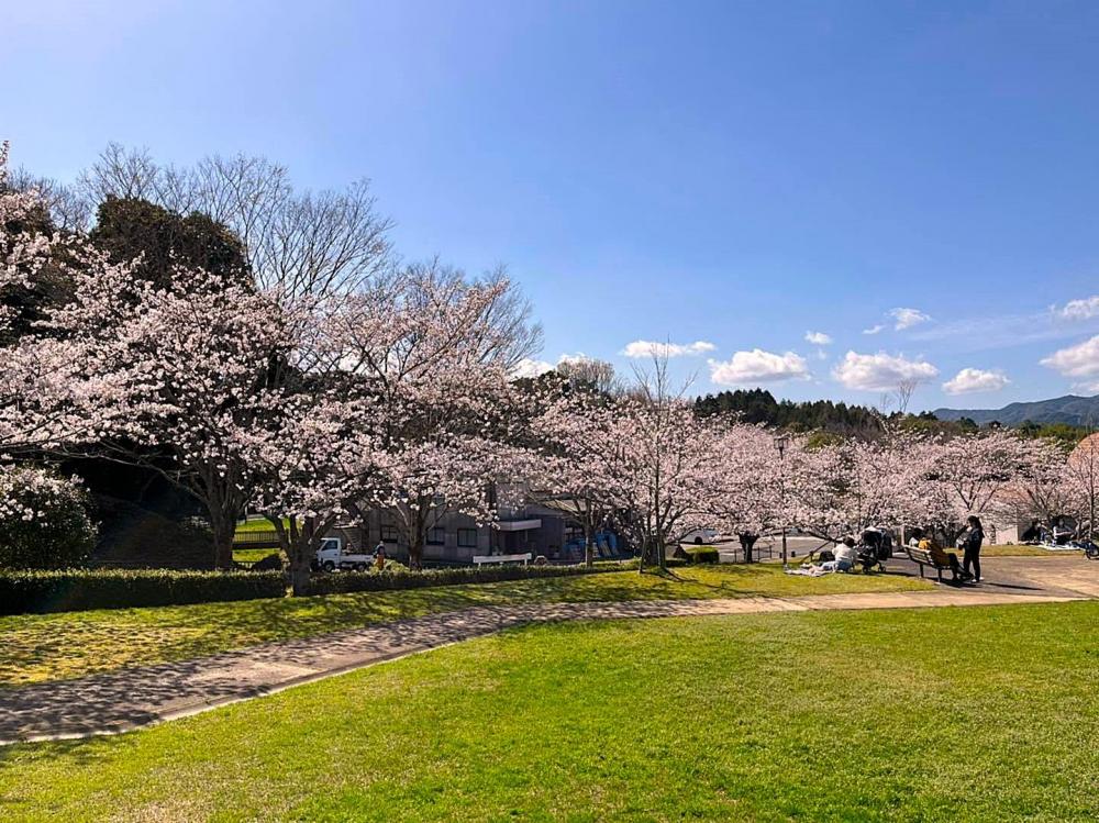 きたがた四季の丘公園.jpg