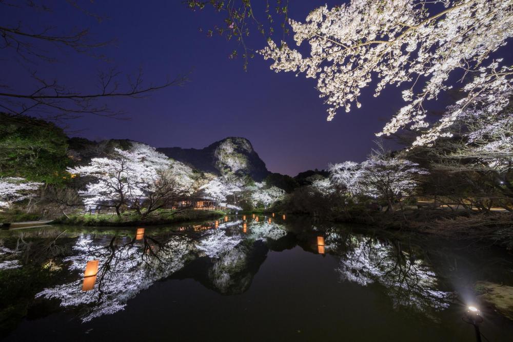 御船山楽園（桜2）.JPG