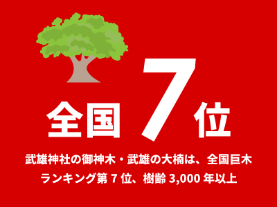 武雄神社の御神木・武雄の大楠は、全国巨木ランキング第7位、樹齢3,000年以上
