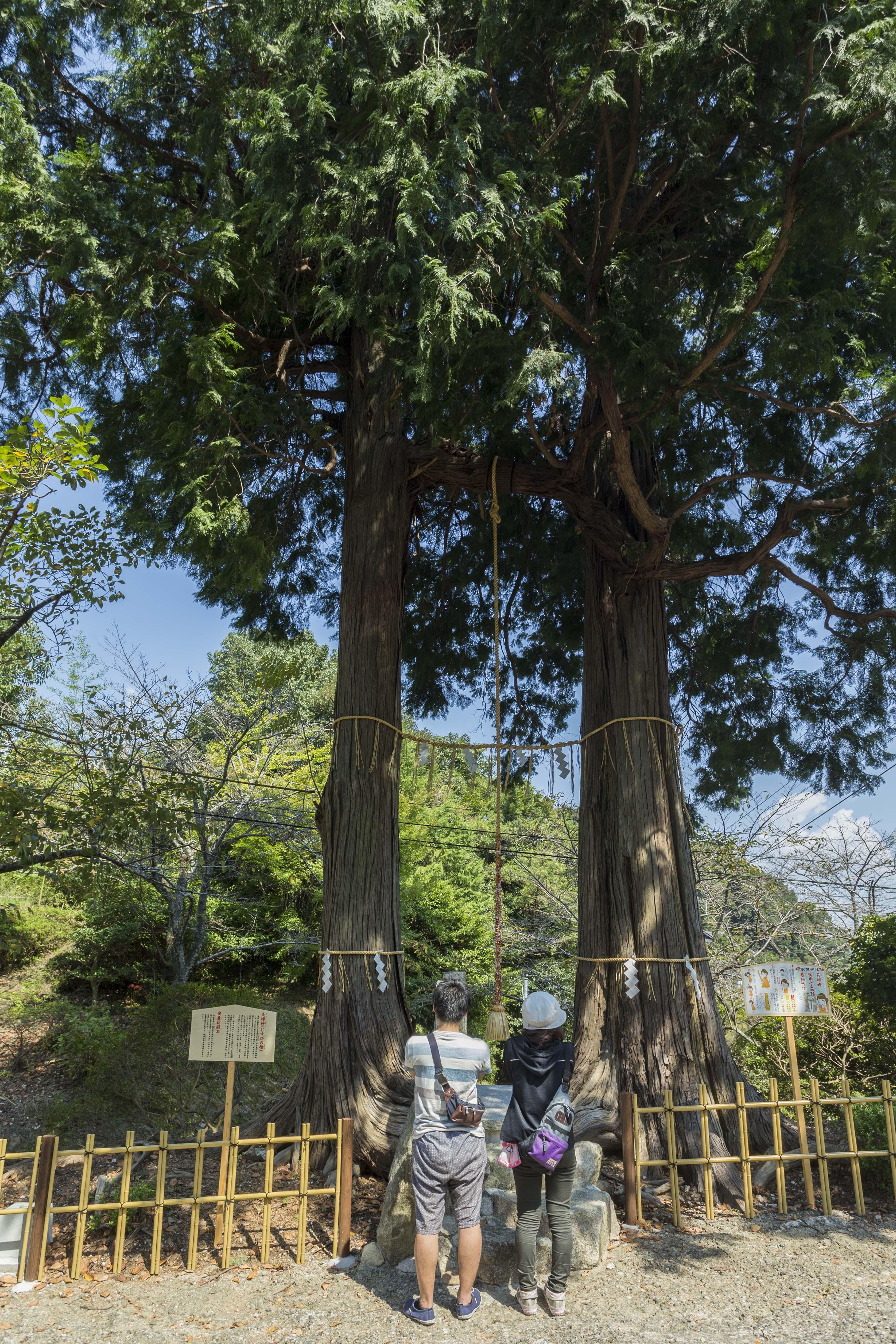 武雄神社